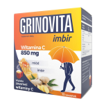 GRINOVITA imbir  proszek10 g x 10 saszetek
